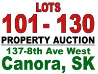 Del Palagian/Property Auction Lots 101-130
