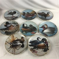 PUO 8 Duck Plates
