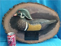 Wood Duck half mount Presentation Decoy to