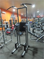 Technogym Chin Up/Dip Station