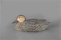 Green-Winged Teal Hen