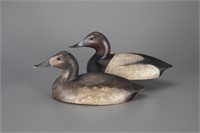 Canvasback Pair