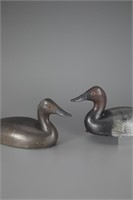 Rare Long-Body Canvasback Pair