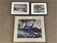 3 Framed & Matted Wildlife Photos