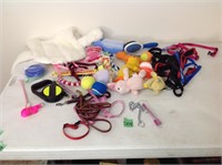 dog toys & leashes
