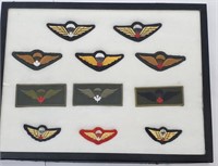 Display of Canadian Military Badges