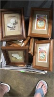 Box of seed framed pictures