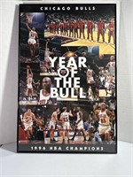 Chicago Bulls Framed Poster