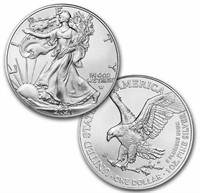 S - 2021 1oz AMERICAN EAGLE SILVER DOLLAR (A)