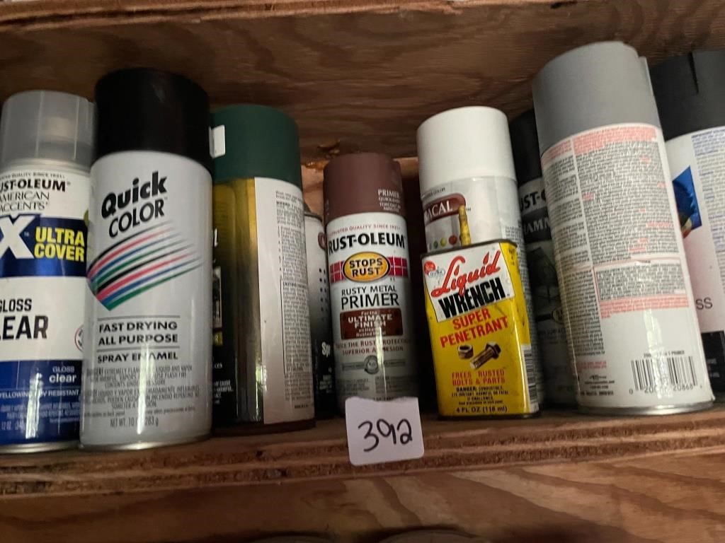 Shelf Lot (spraypaint)