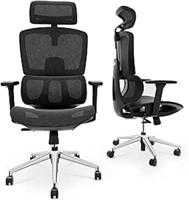 DRIPEX Ergonomic Office Chair