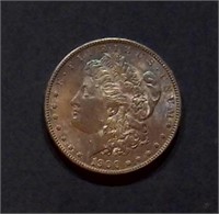1900 Morgan Silver Dollar, Toned