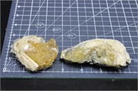 Rucks Pit Fossil Clams Yellow Calcite Fluorescent,