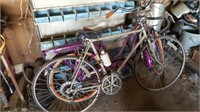 Hers & His Schwinn Bicycle's