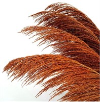 PENEPICO, BURNT ORANGE PAMPAS GRASS DECOR, 8 PC-