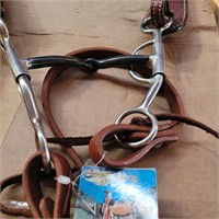 Headstall, Bit and Reins  NEW