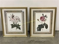 Pair of flora prints