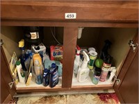 Contents of undersink cabinet (cleaning products)