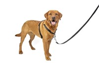 PetSafe 3 in 1 Dog Harness - No Pull Solution for