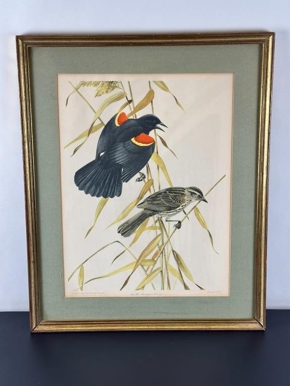 Vintage Carved Duck and Bird Decoys, Calls, Framed Prints