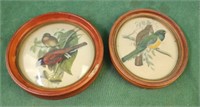 Vintage oval wood framed bird prints