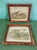 9x7 vintage framed Sharp-tailed Grouse by John