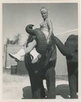 8x10 Woman riding on elephants trunk