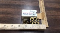 Winchester Wildcat 22 long rifle 35 cartridges