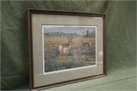 Gary Sorrels Antelope Print Approx 36"x28"