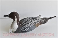 Northern Pintail: