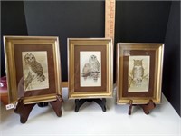 Framed Owl Prints 3