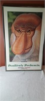 12x19" Proboscis Monkey by Szumowski