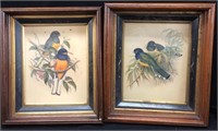 ANTIQUE BIRDS FRAMED ART