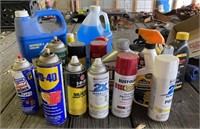 Paint, Garage Chemicals & More