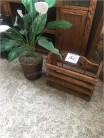 Magazine rack and decorative plant