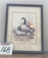 Picture of Canadian geese 12 inches x 15 inches