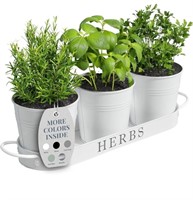 Barnyard Designs Herb Pot Planter Set with Tray