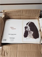 English Springer Spaniel Greeting Cards