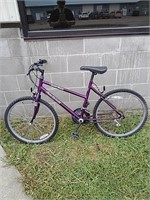 Shimano 24 inch 10-speed bicycle