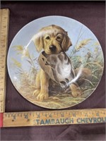 Golden retriever dog collector plate