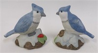 Porcelain Blue Jays Birds on Snow