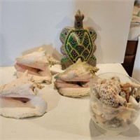 Seashells and wooden turtle