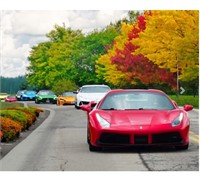 3 Hour Exotic Car Tour for one person (2 of 2)