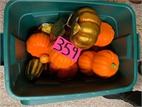 Misc. Pumpkins in Green Tote