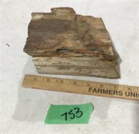 Petrified wood rock