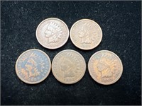 Lot of 5 Indian Head Pennies