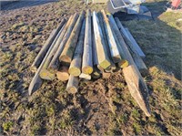 Approx 19 fence posts