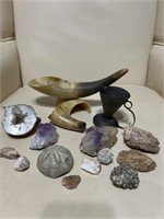 Fossil Geo Horn Decor Collection