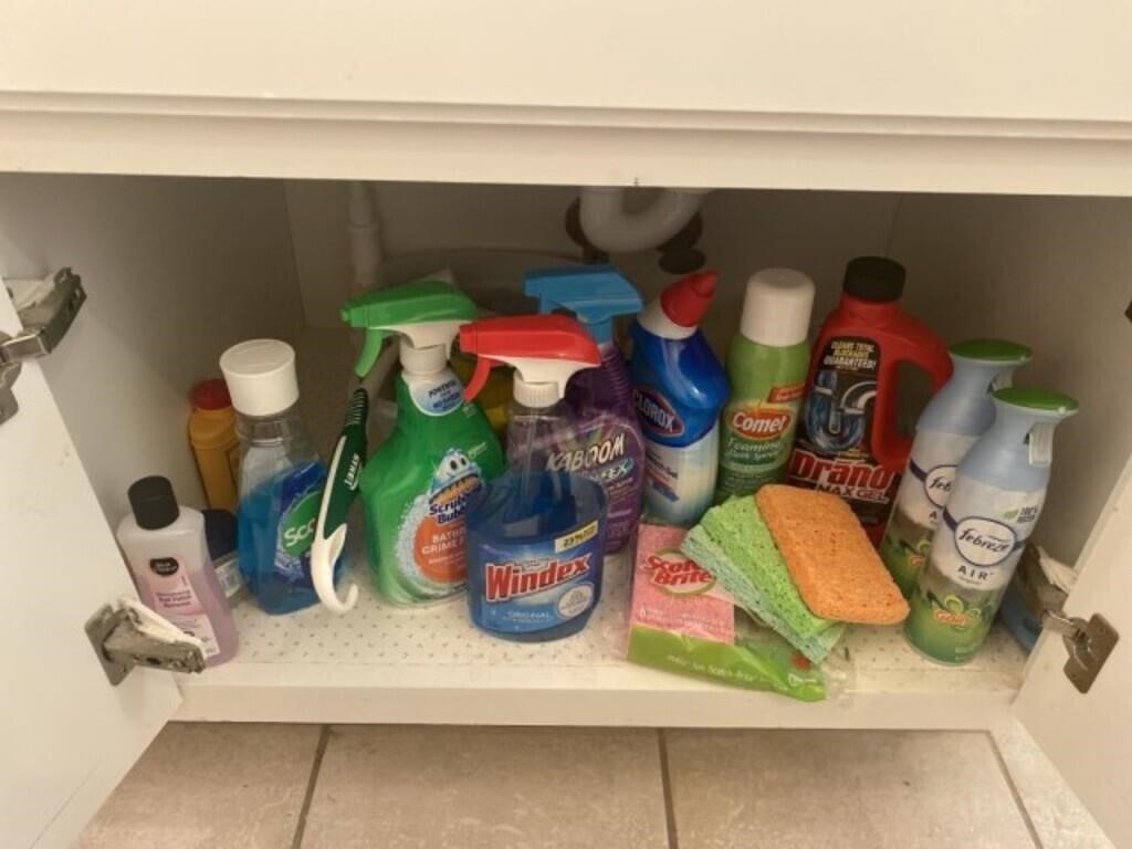 All Cleaning Supplies under bath sink