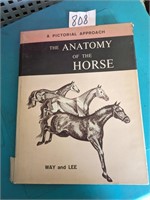 THE ANATOMY OF THE HORSE A PICTORIAL APPROACH WAY